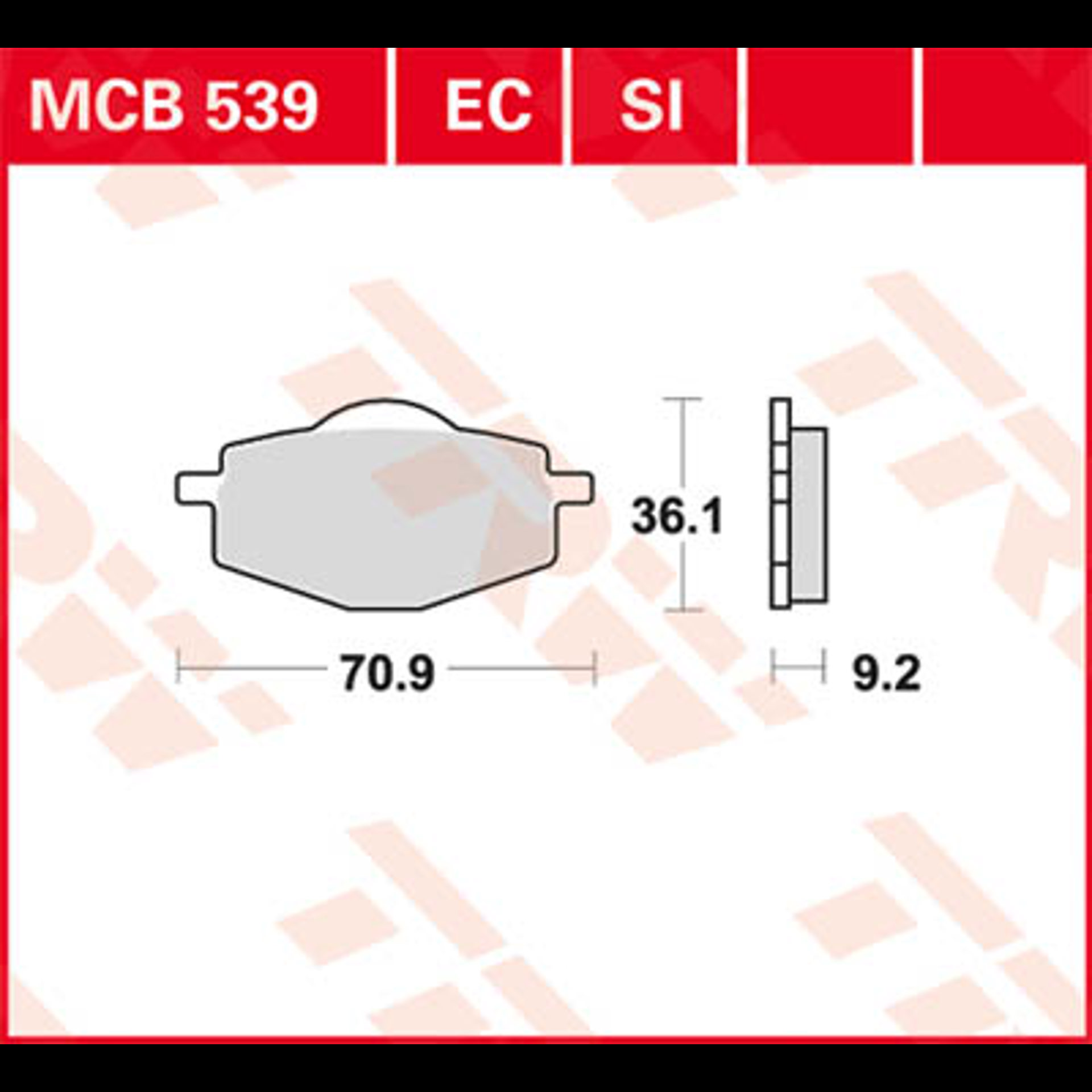 MCB539.jpg