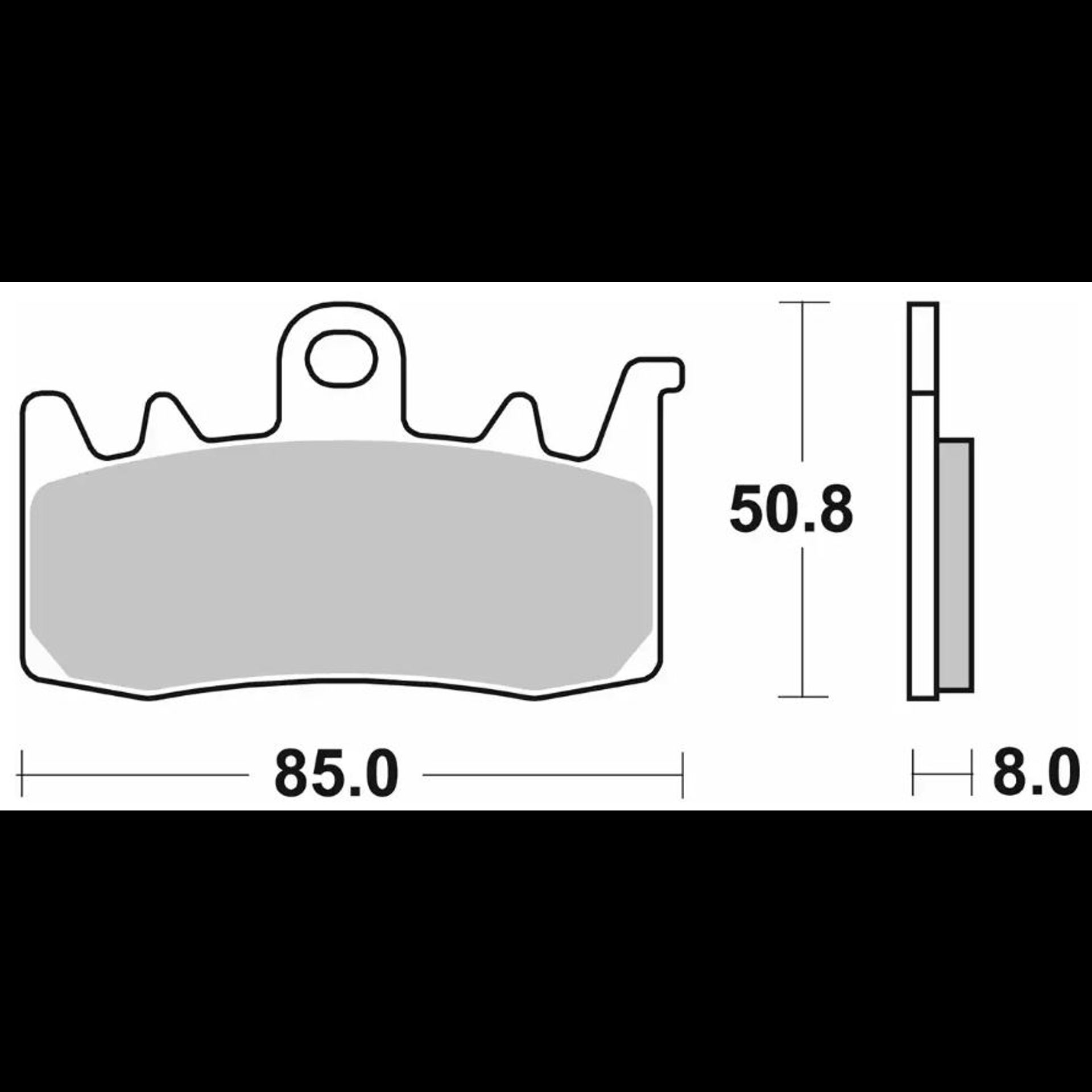 SBS239MS 1.jpg