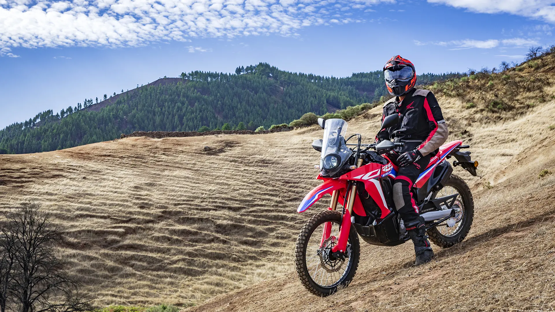 22Ym Crf300 Rally Location 2774.jpg