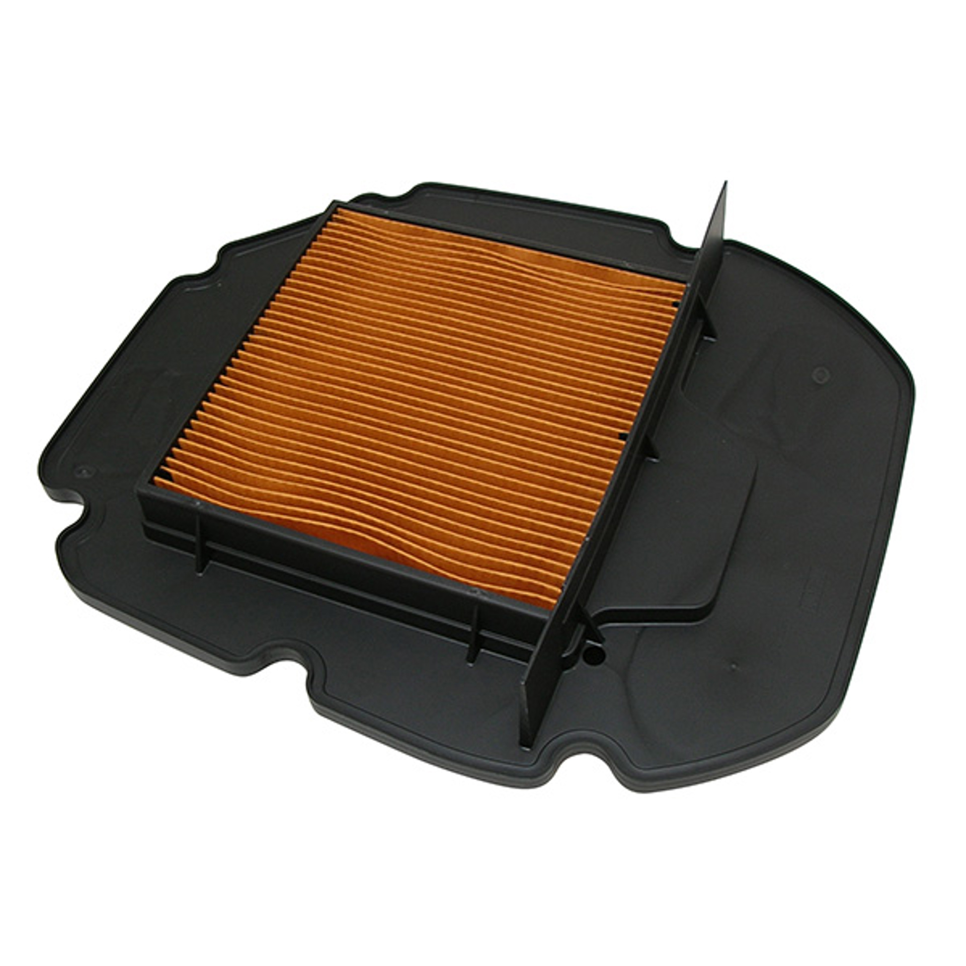 H1197.jpg