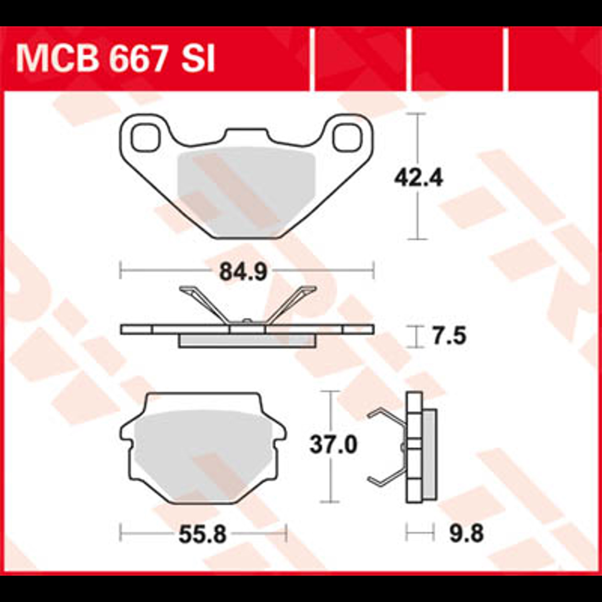 MCB667.jpg