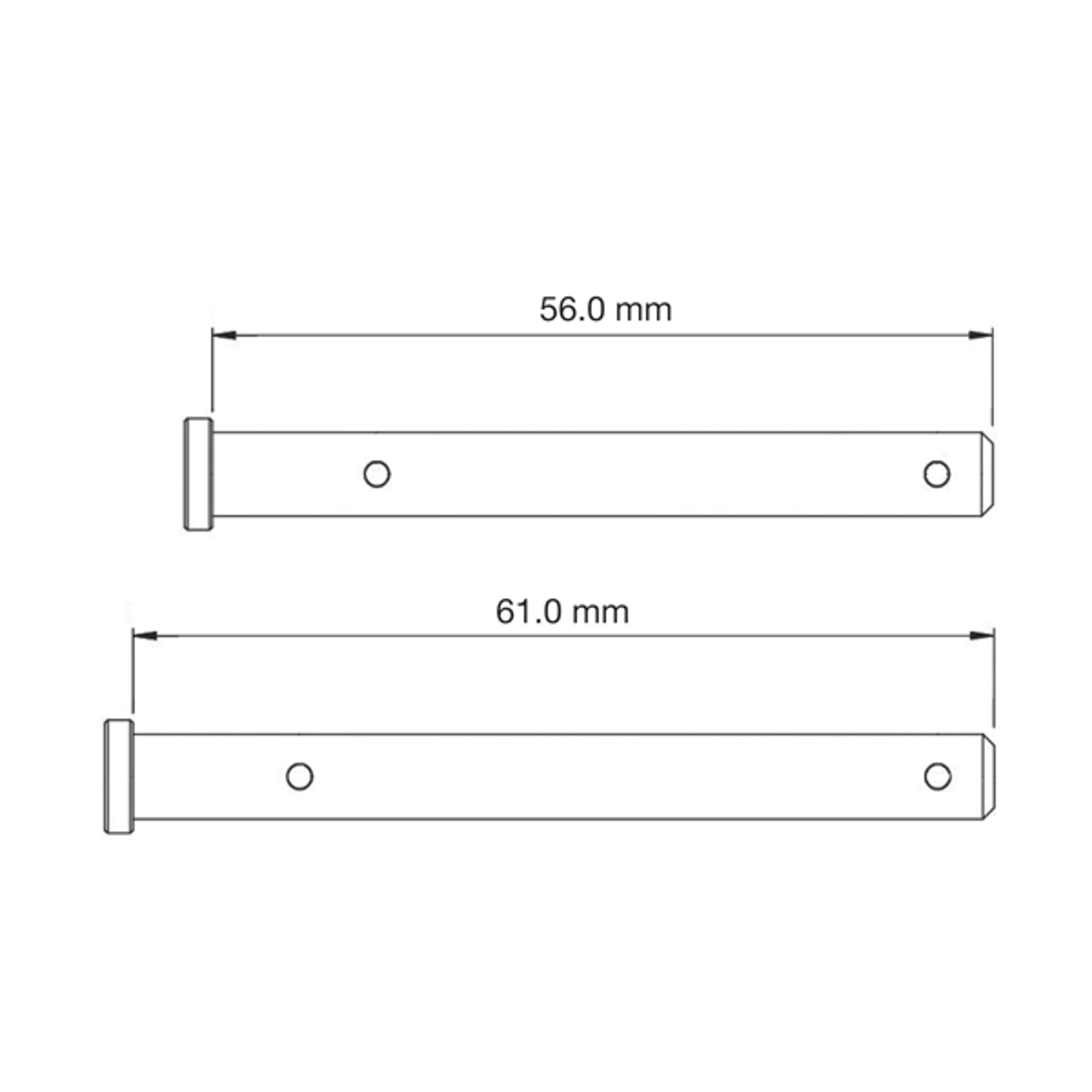 SBS4003.jpg