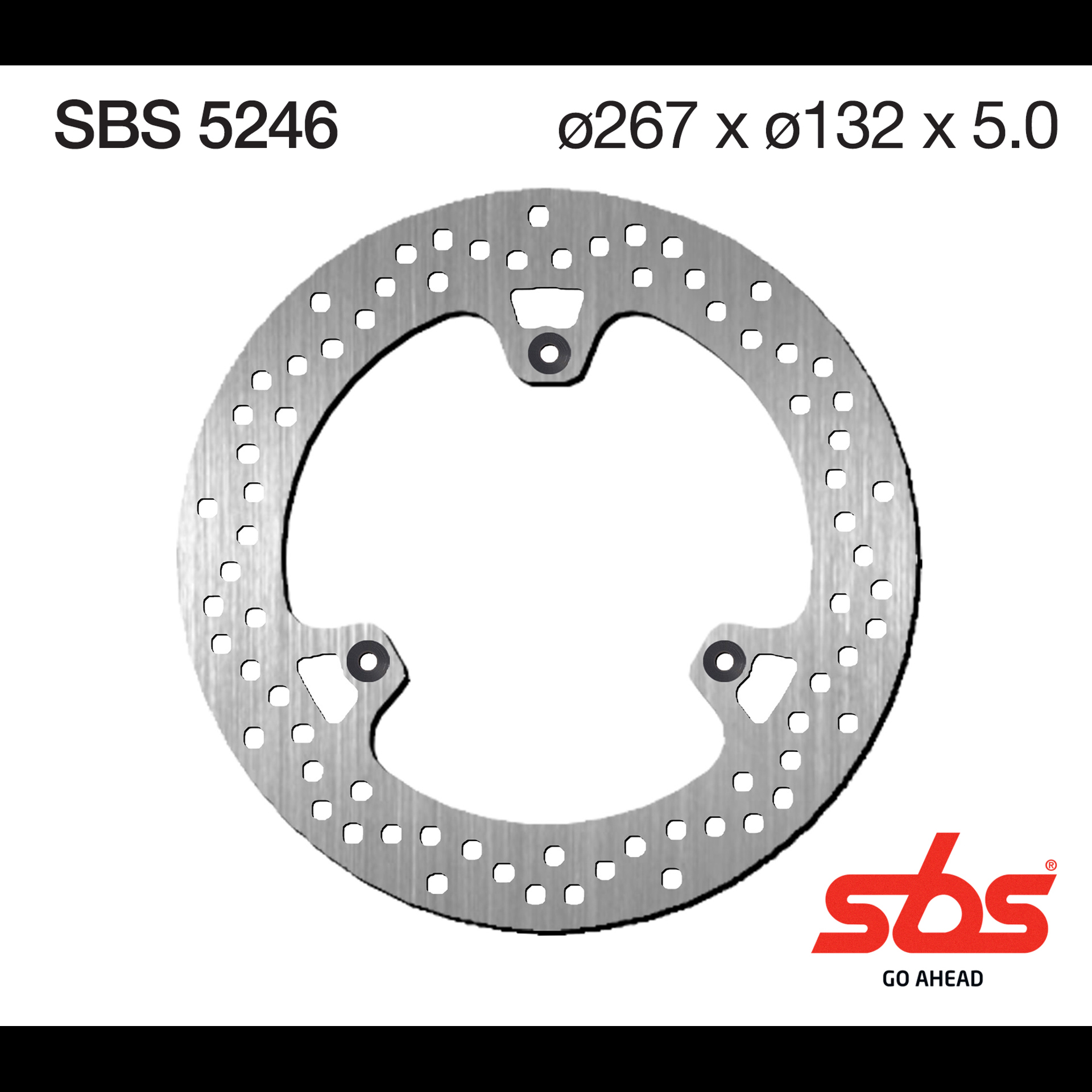 SBS5246.jpg