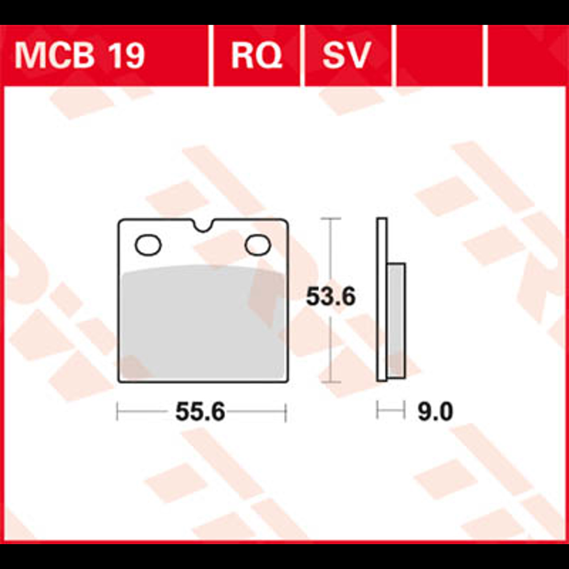 MCB19.jpg