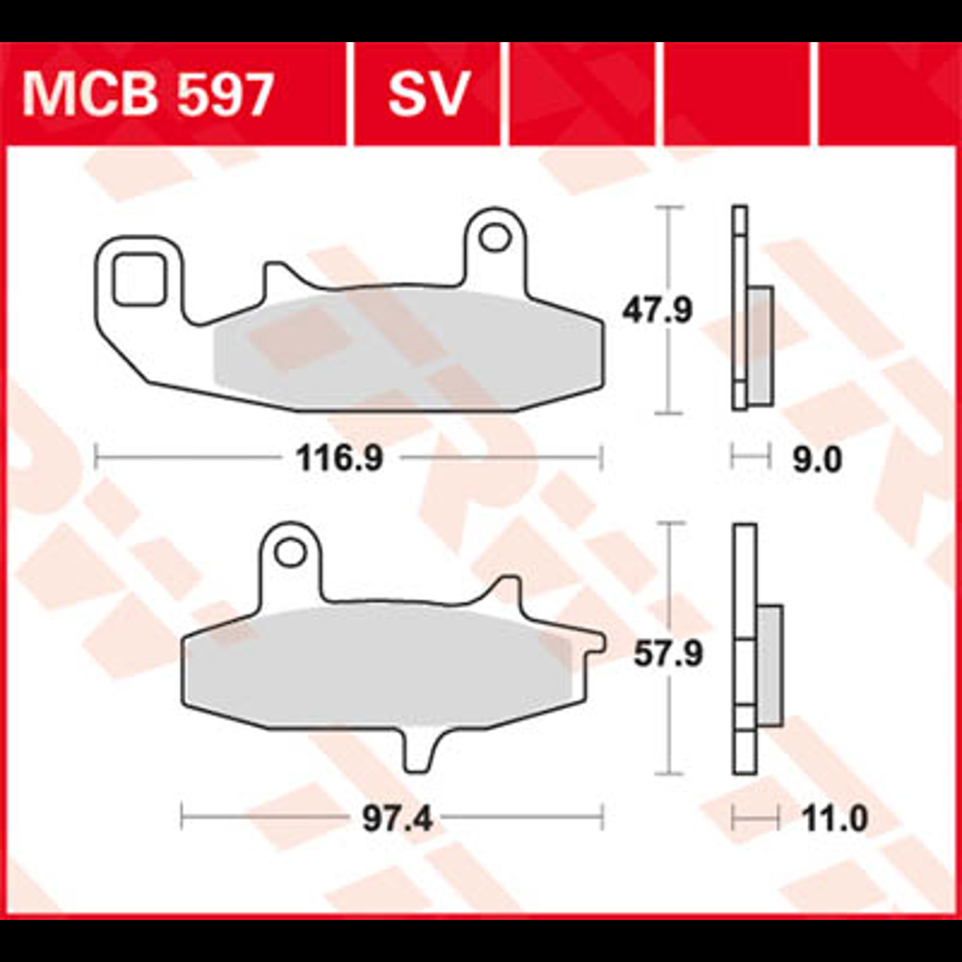 MCB597.jpg