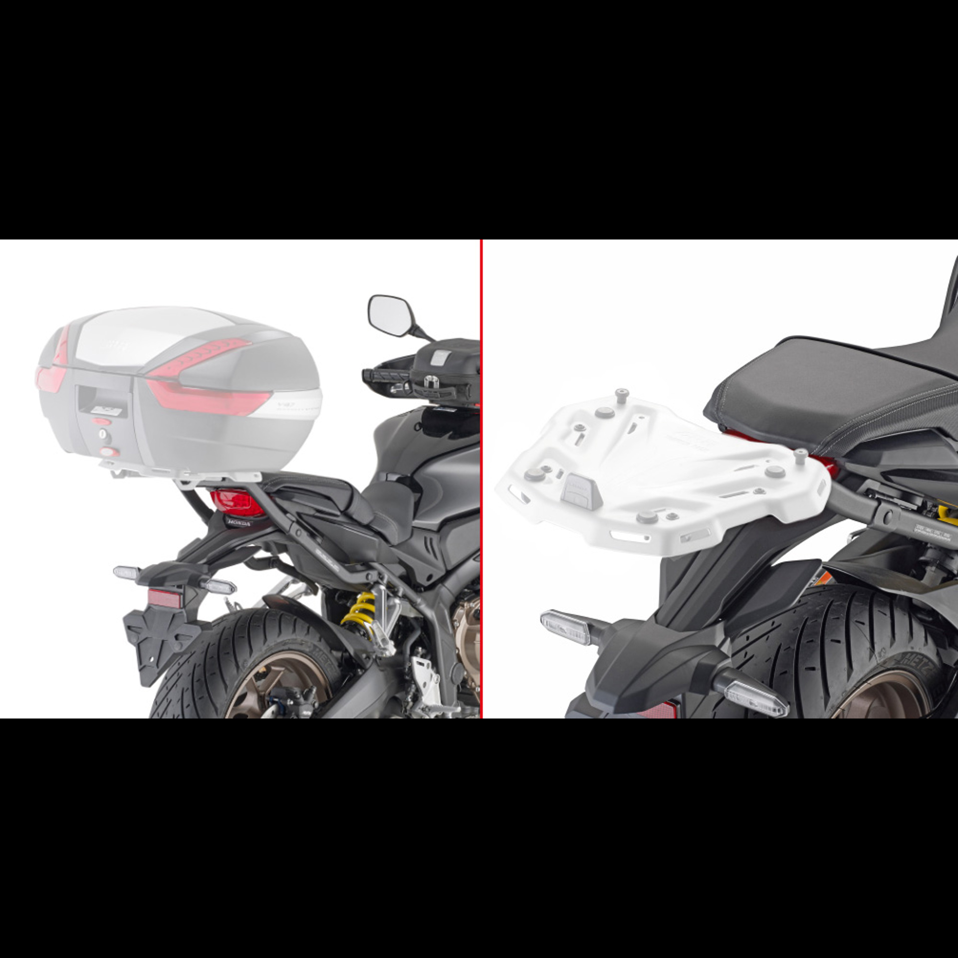 1173Fz.jpg
