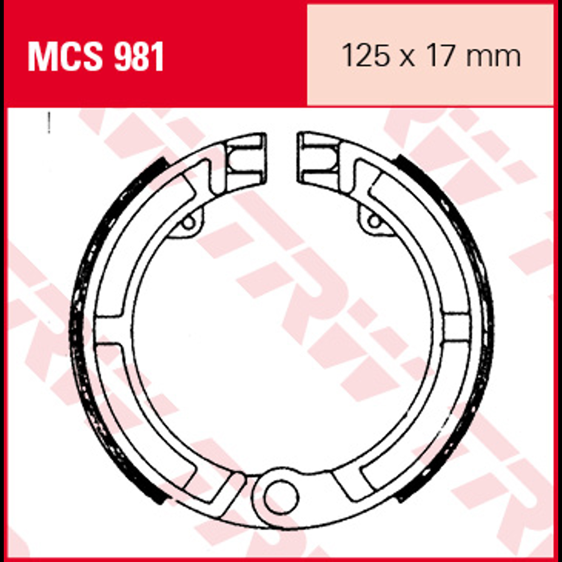 MCS981.jpg