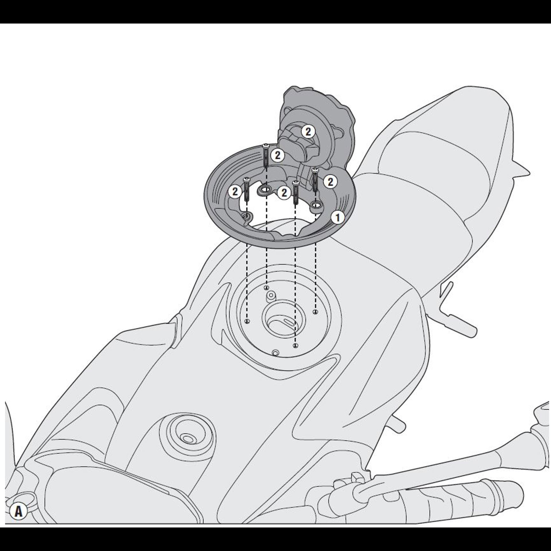 BF29.jpg