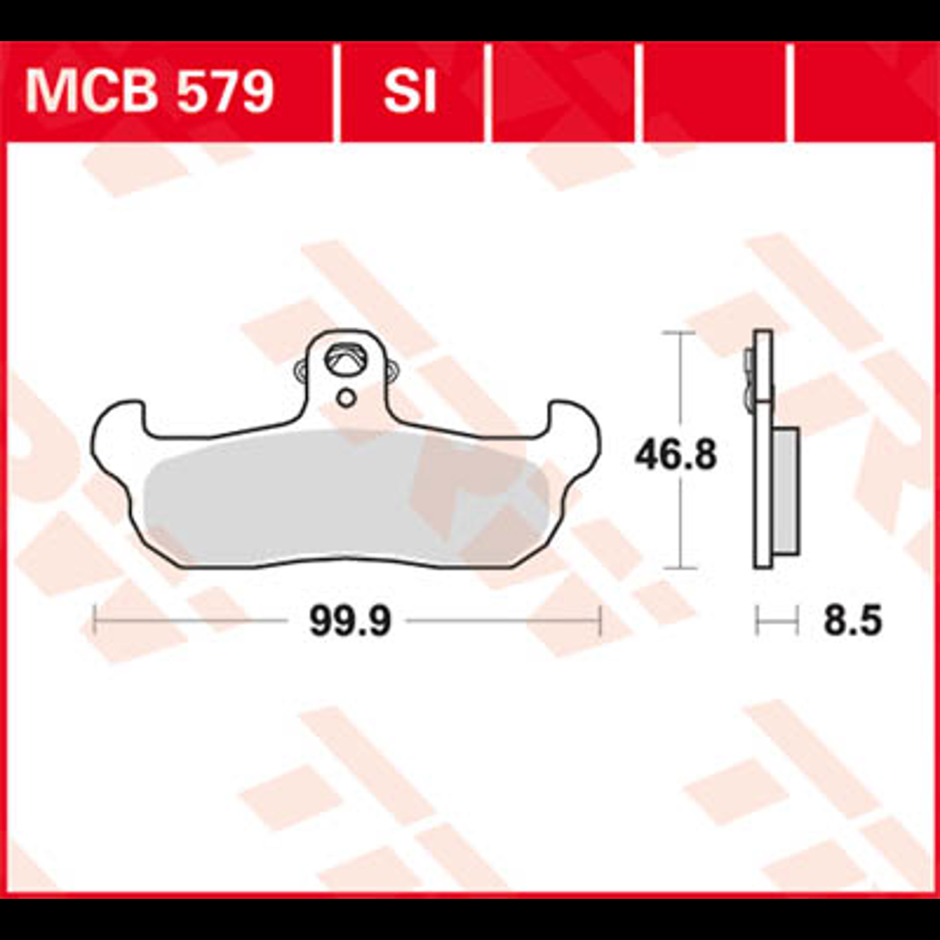 MCB579.jpg