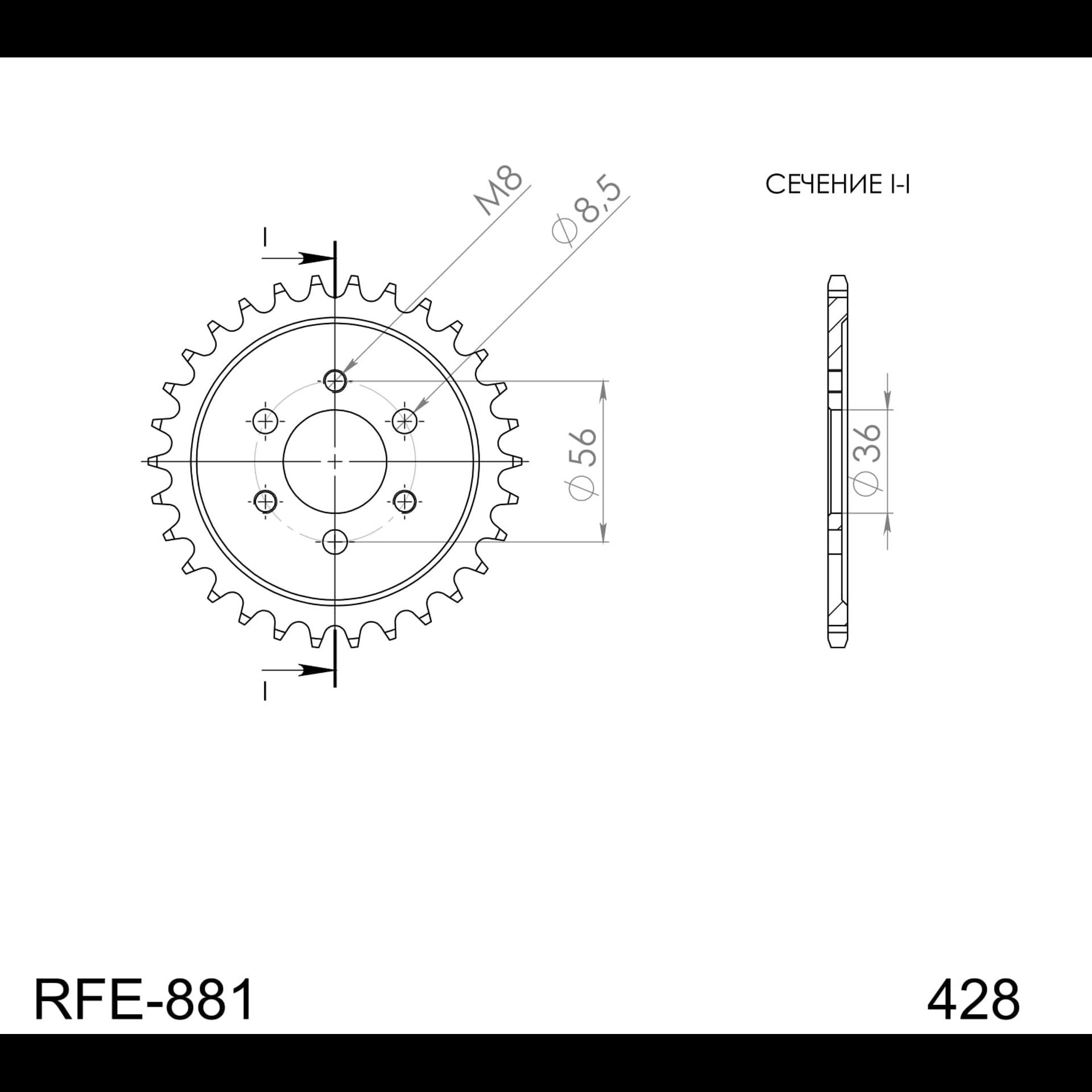 RFE_881_28.jpg