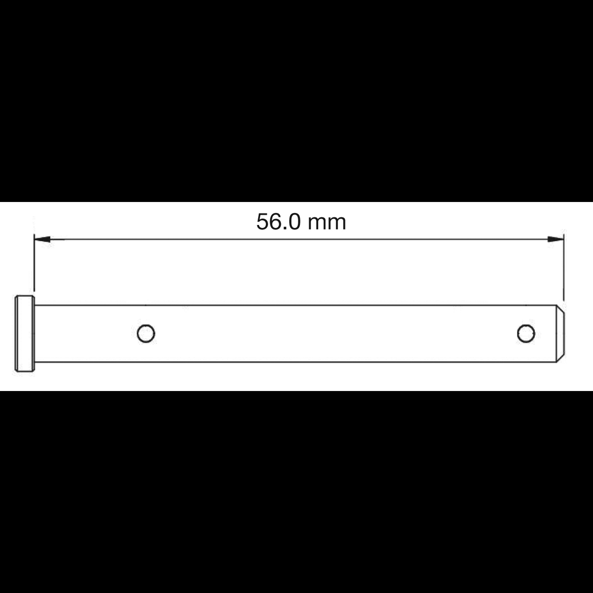 SBS4507.jpg