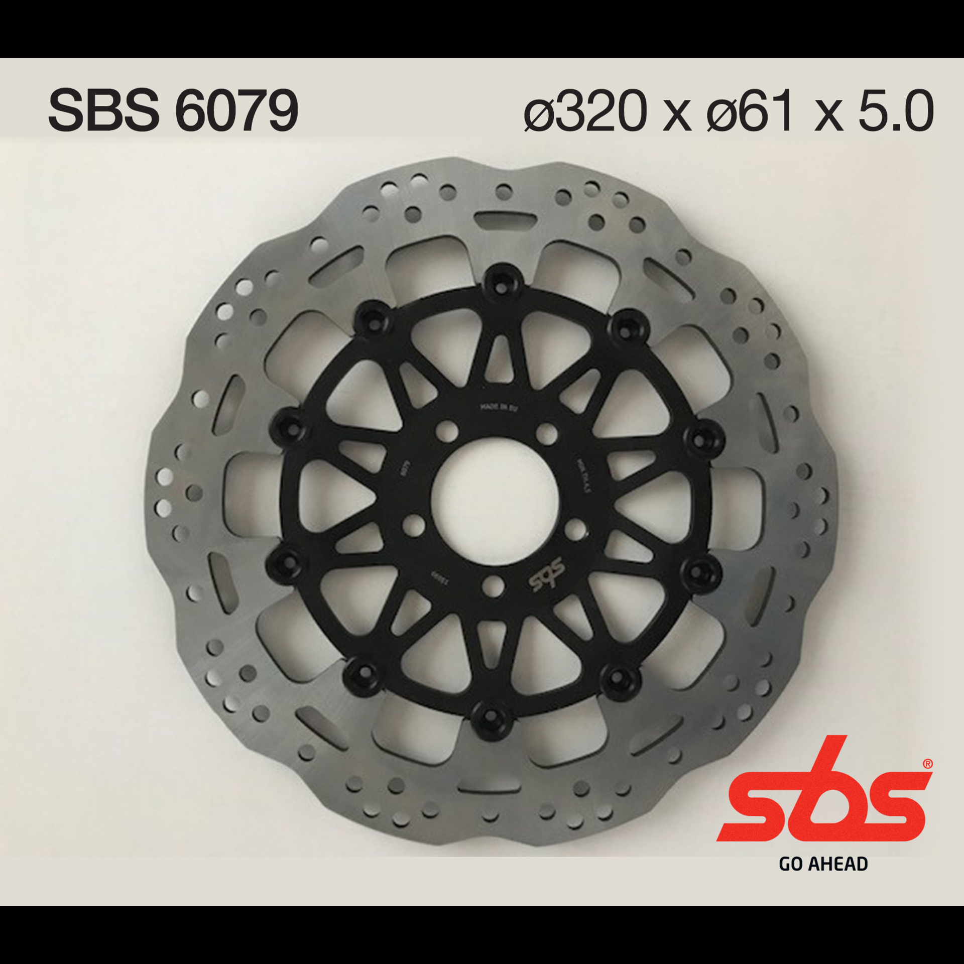 SBS6079.jpg