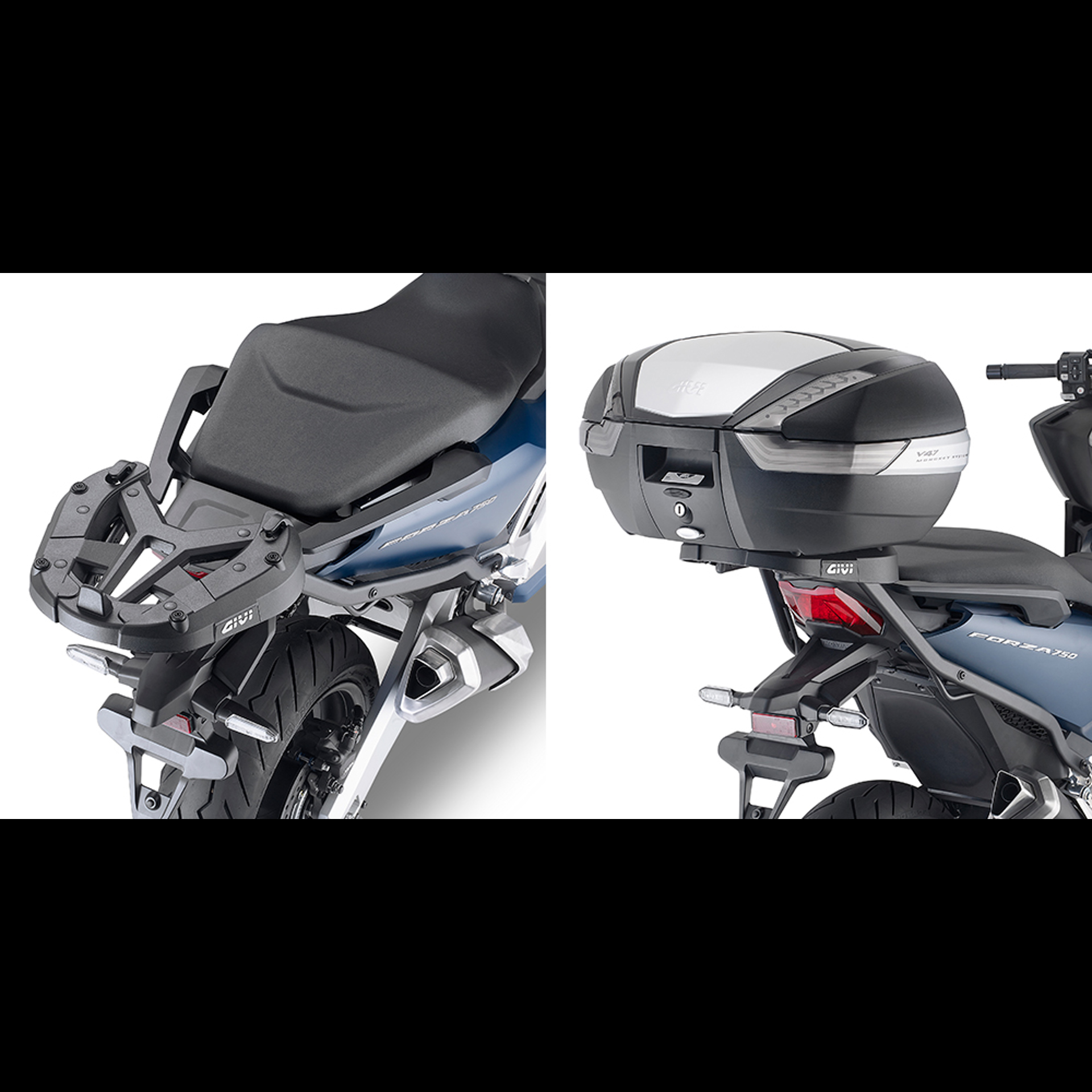 1186FZ.jpg