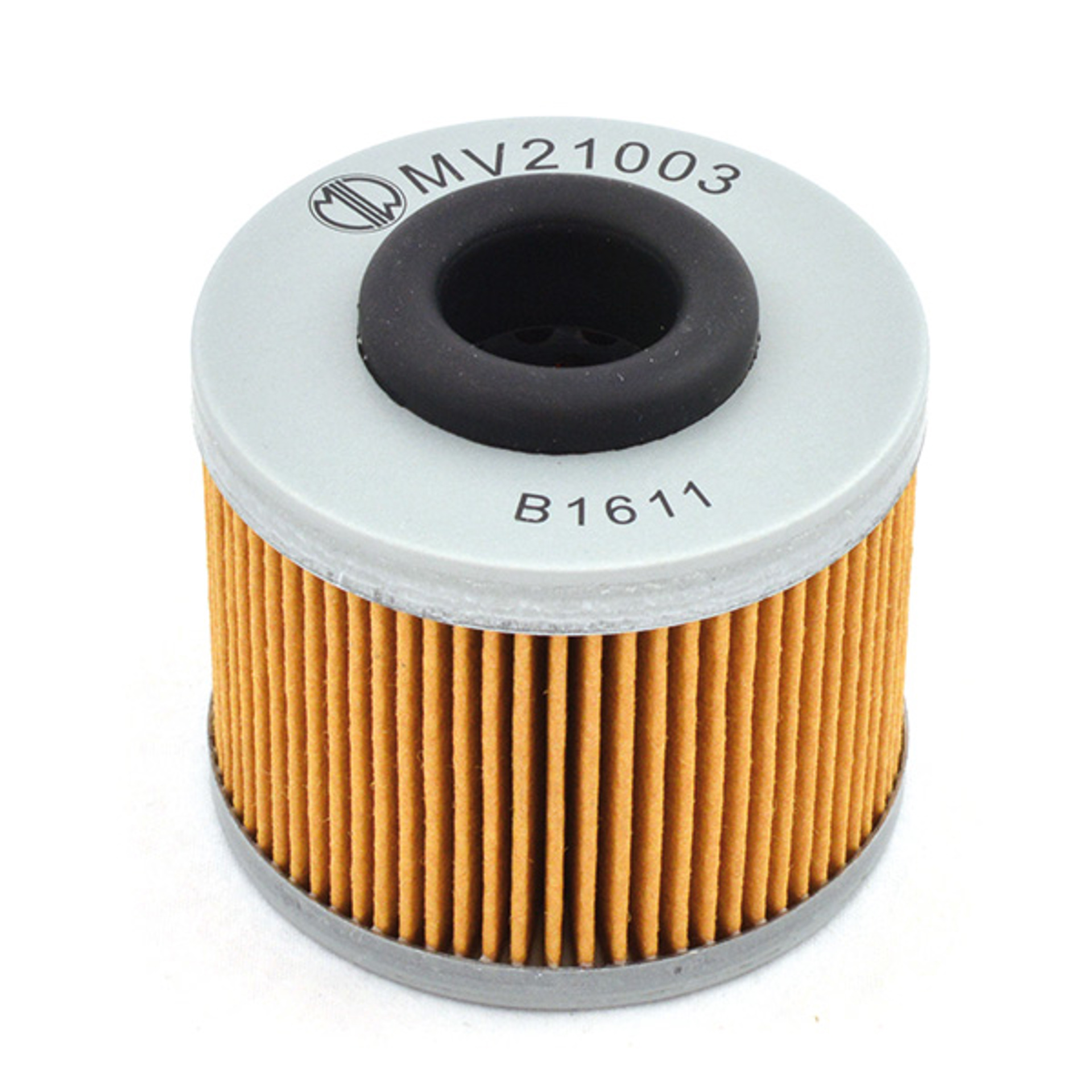 MV21003.jpg