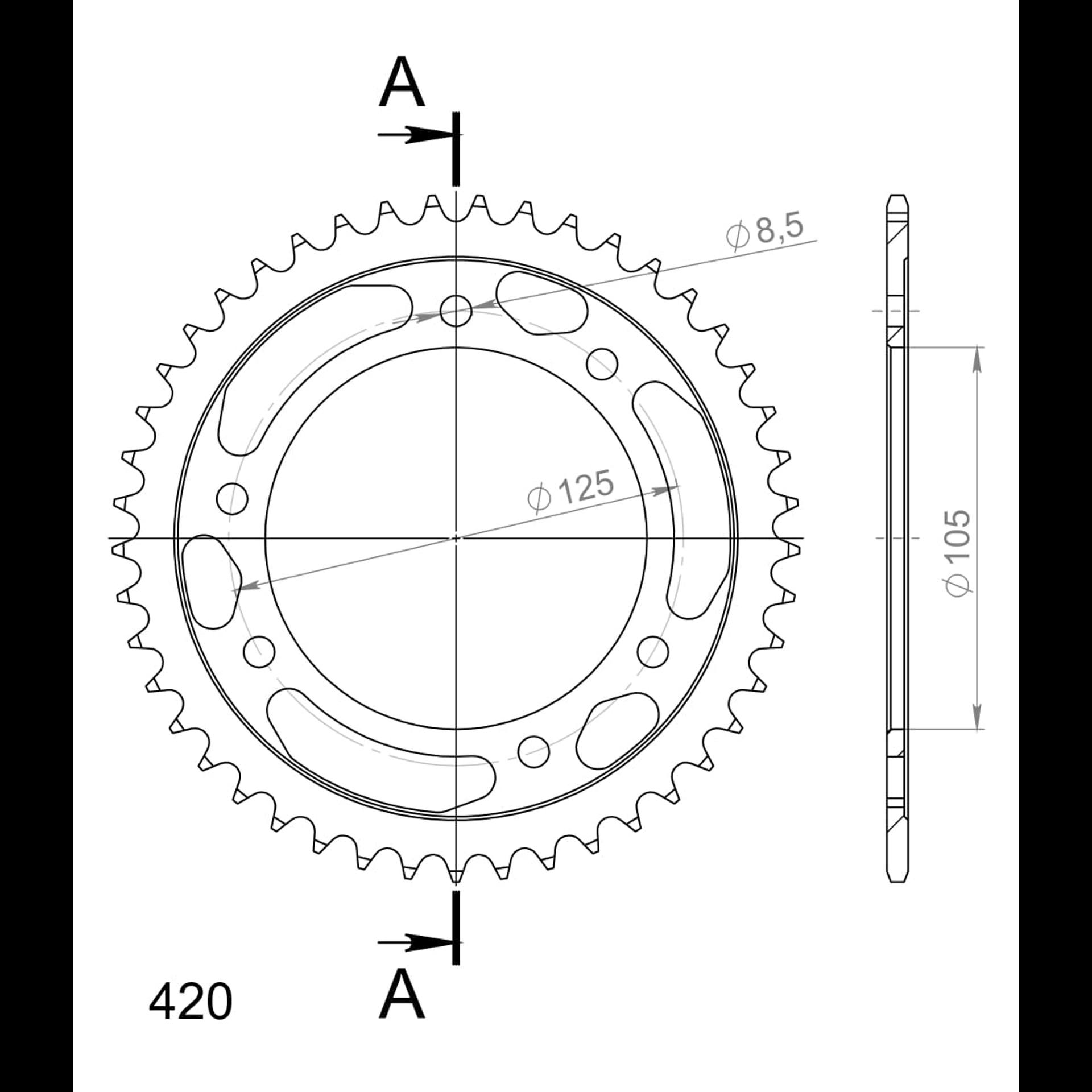 RFE_1131_45.jpg